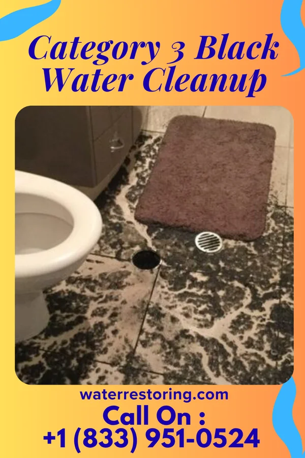 Category 3 Black Water Cleanup in West Haven, CT